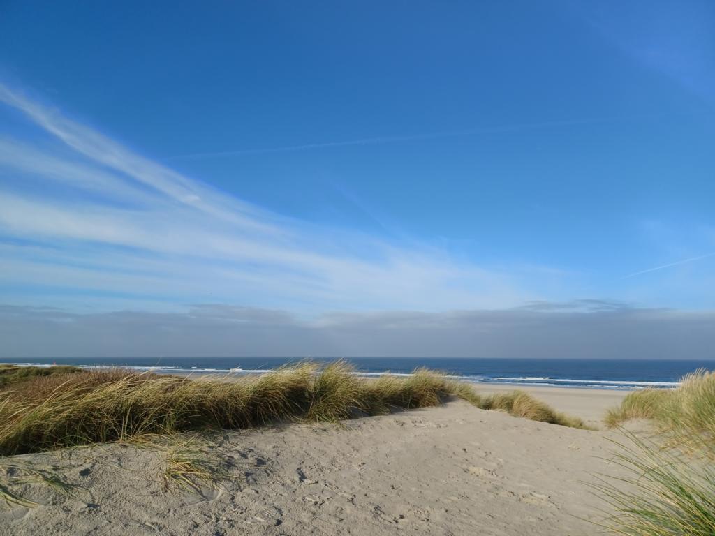 Blick auf den Strand