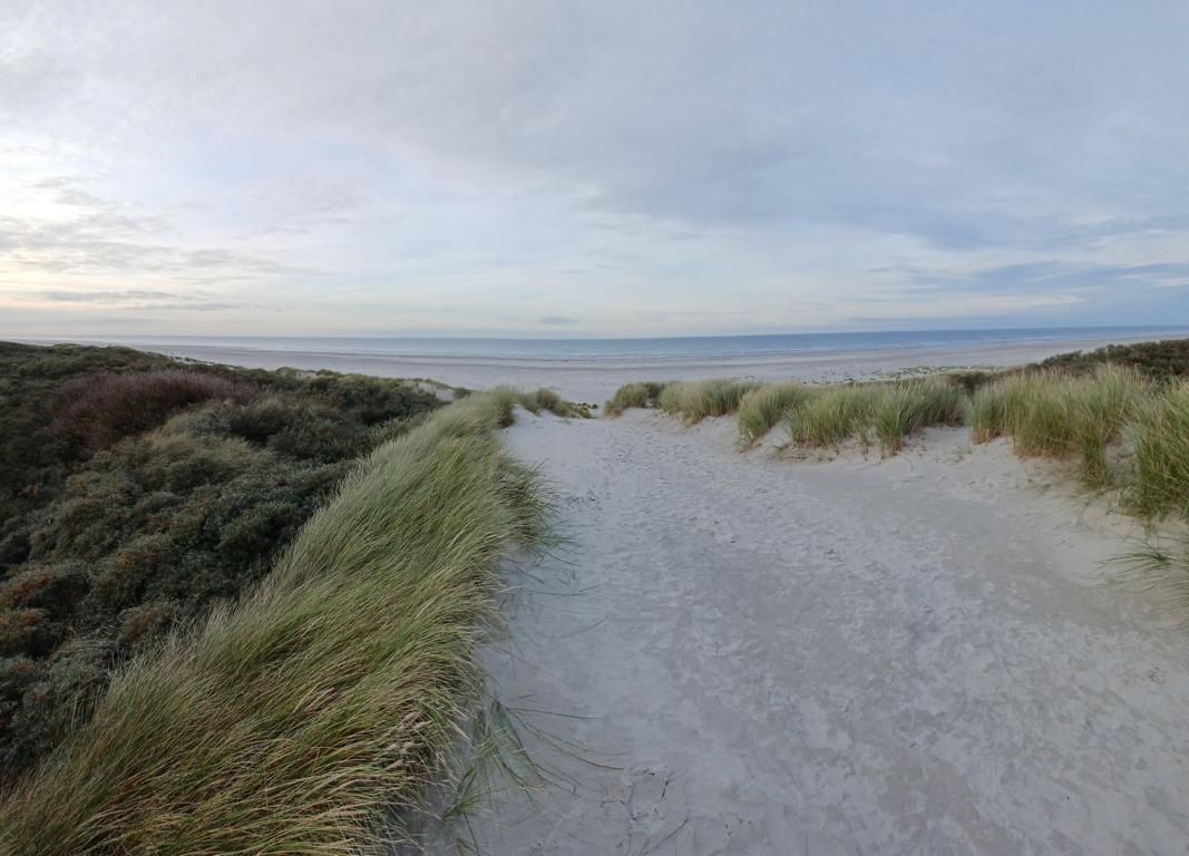 Blick auf den Strand