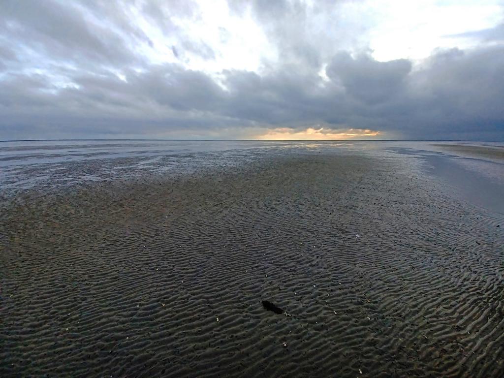 Watt bis zum Horizont Watt bis zum Horizont