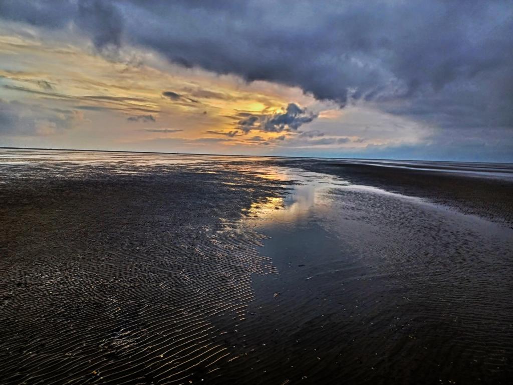 Watt bis zum Horizont Watt bis zum Horizont