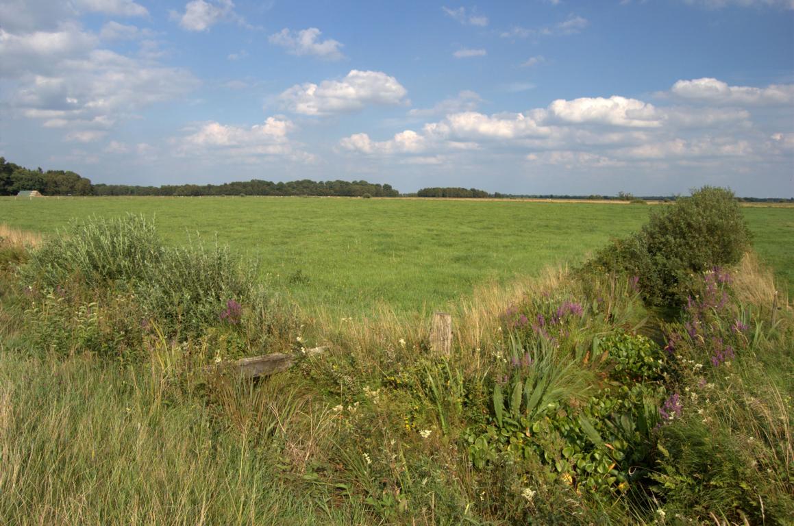 Im Teufelsmoor Im Teufelsmoor