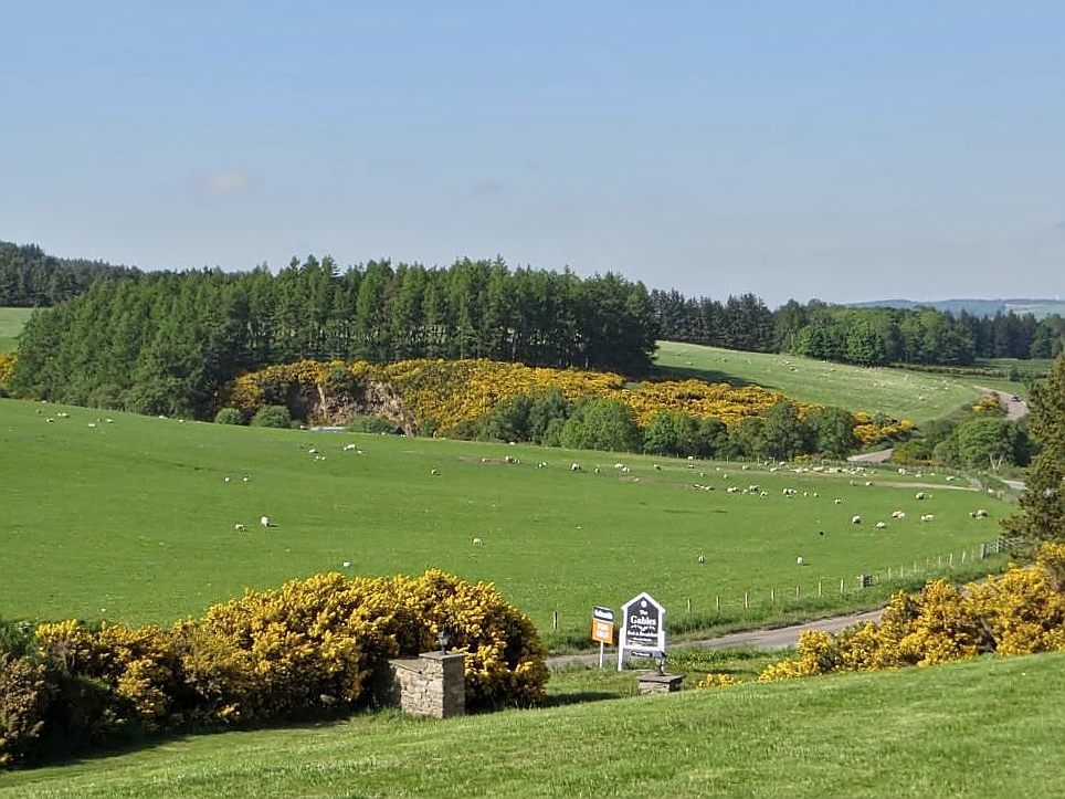 Abendstimmung in unserem B&B in Dufftown