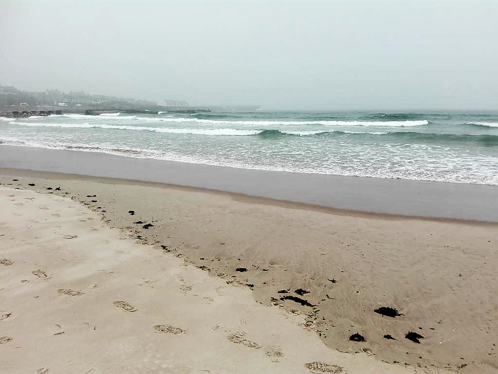 Am Strand von Lossiemouth