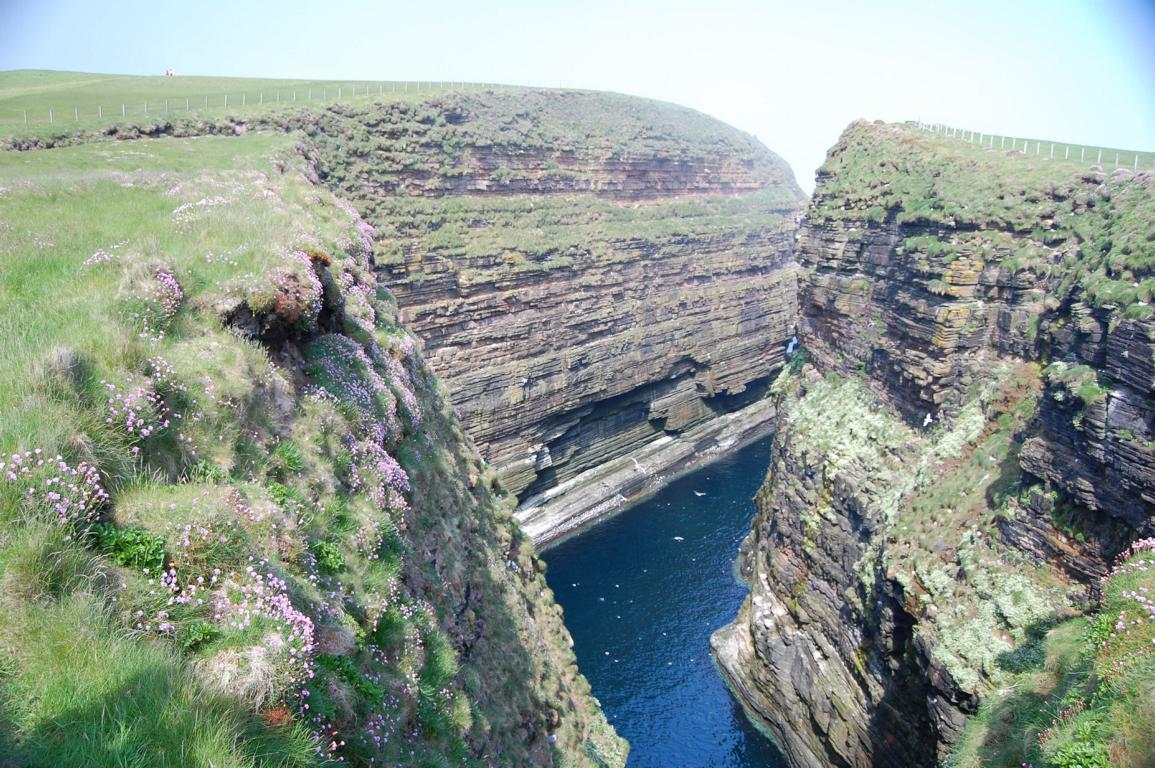 Vogelfelsen an der Küste bei John o'Groats