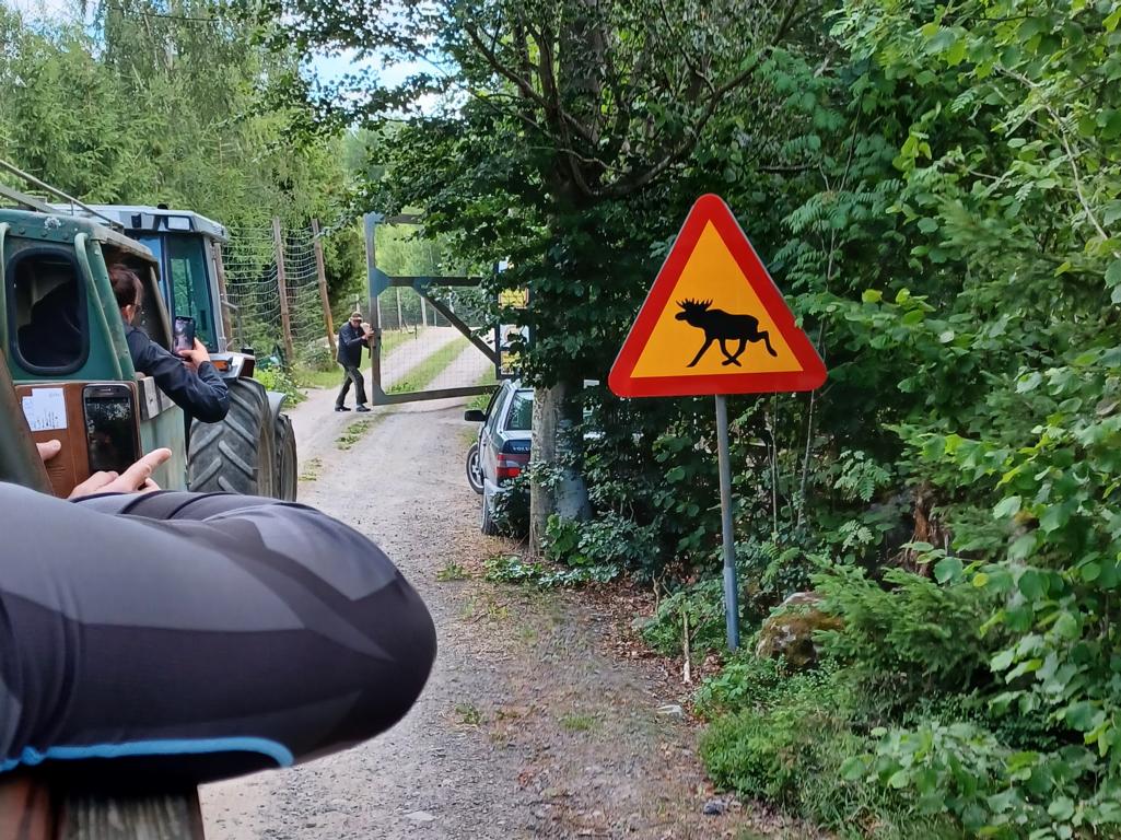 Wir fahren in den Elchpark