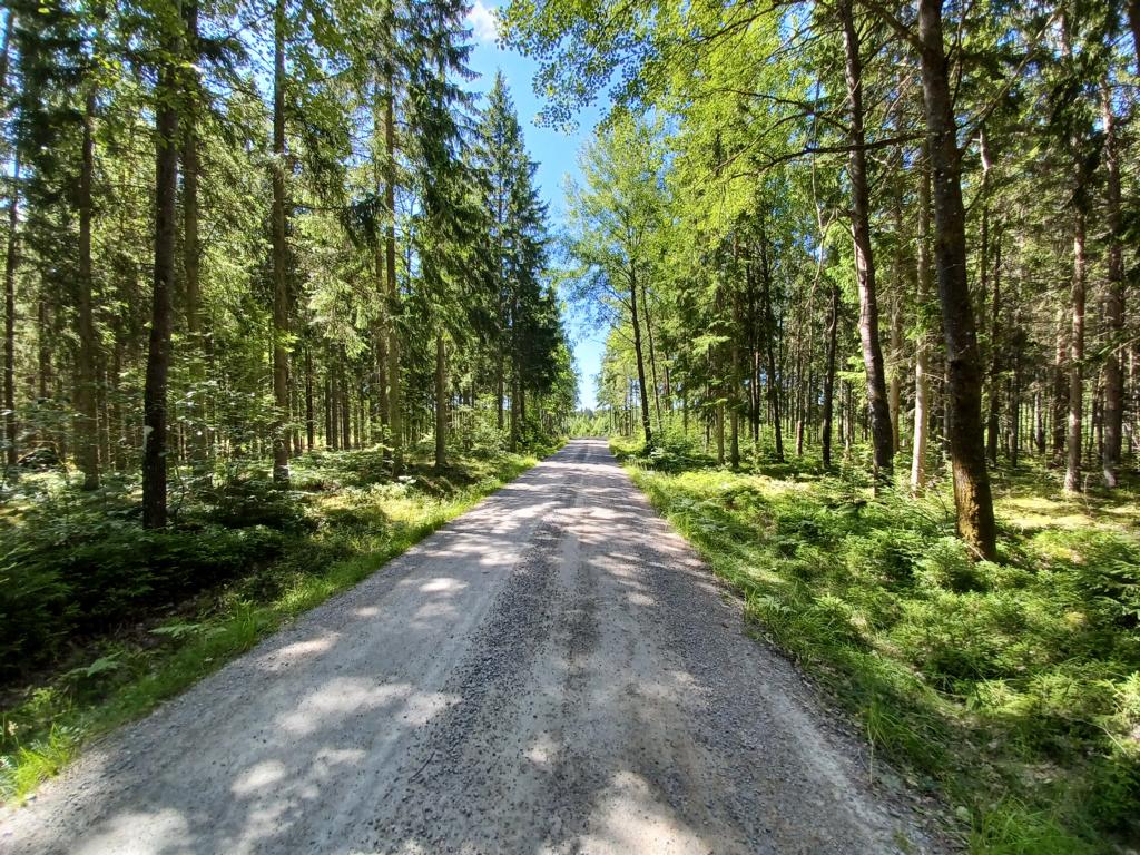 Unterwegs auf Schotterwegen