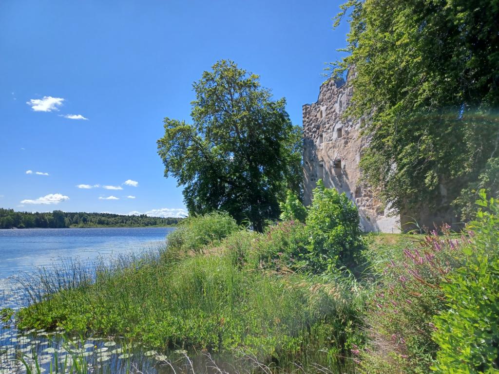 Ruine von Bergkvara Castle