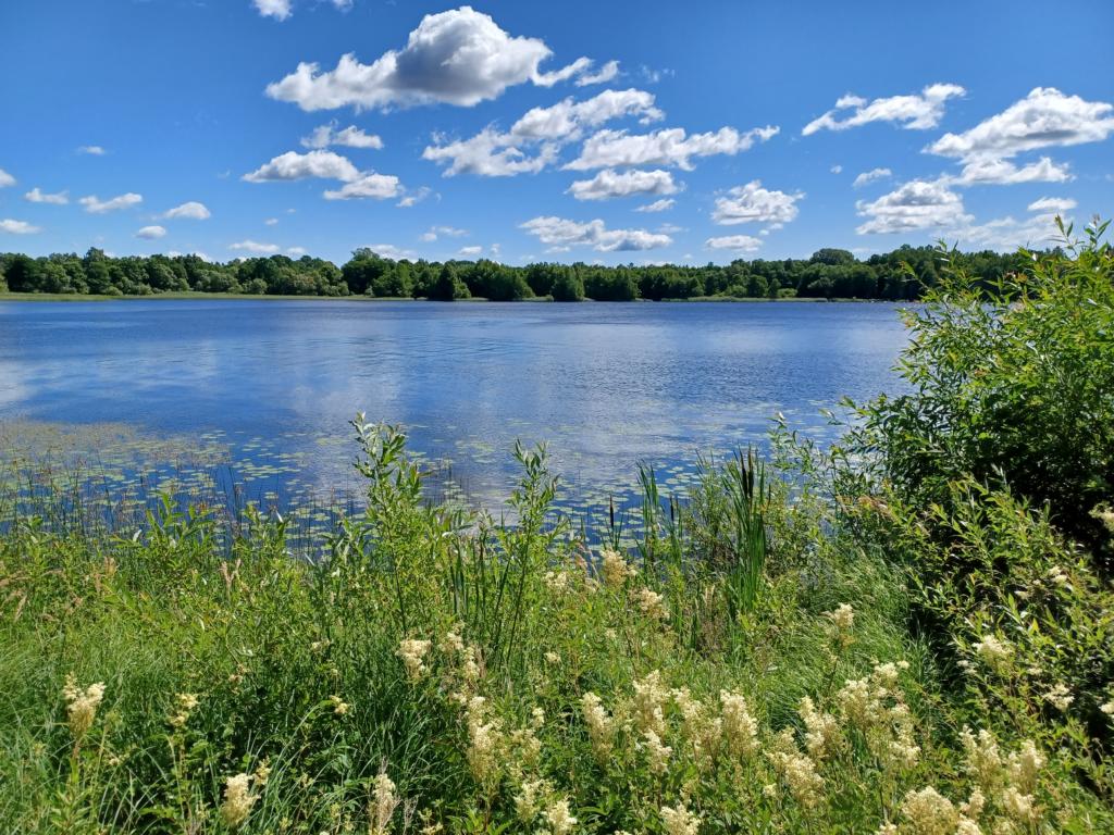 Aussicht auf den See vor Bergkvara Castle