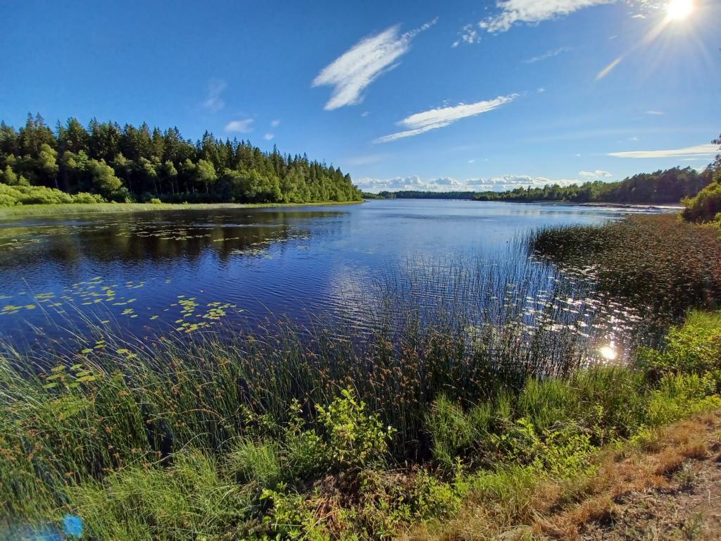 Blick auf den See Linnerydssjön am Campingplatz Linneryd