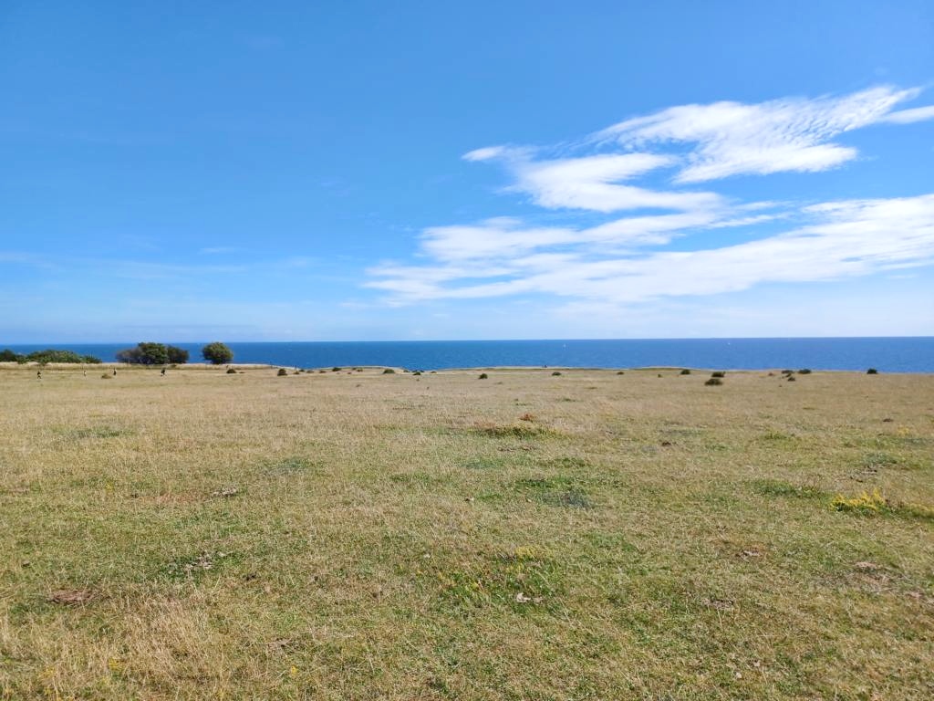 Aussicht auf den Weg nach Ales Stenar