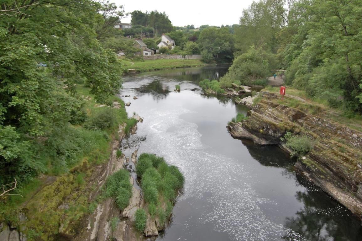 Blick auf den Teify in Carmarthenshire