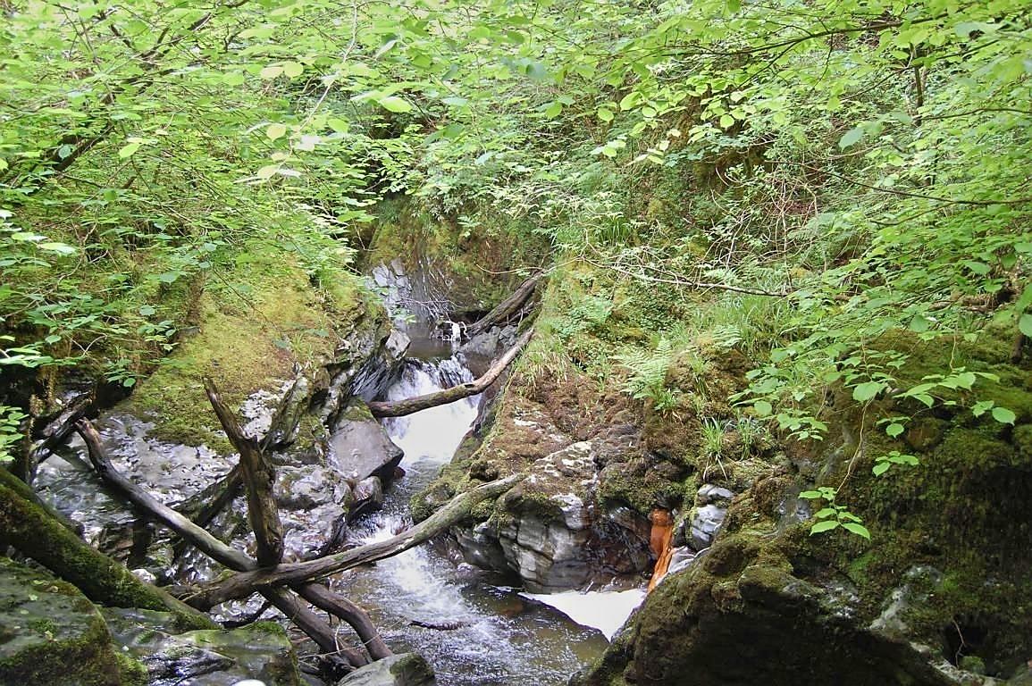 Der Fluss Mynach in Devil's Bridge Der Fluss Mynach in Devil's Bridge