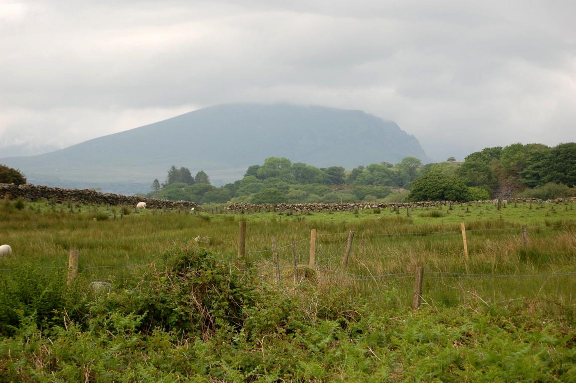 Mount Snowdon