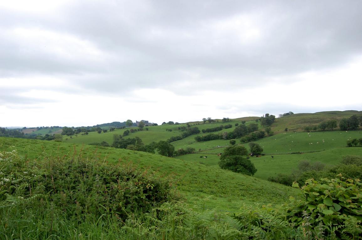 Walisische Landschaft Walisische Landschaft
