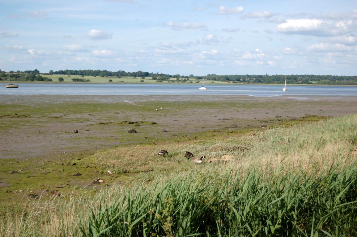 Mistley Mistley
